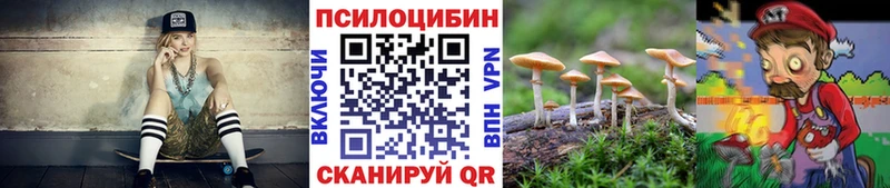 купить наркоту  Заозёрск  Псилоцибиновые грибы мухоморы 