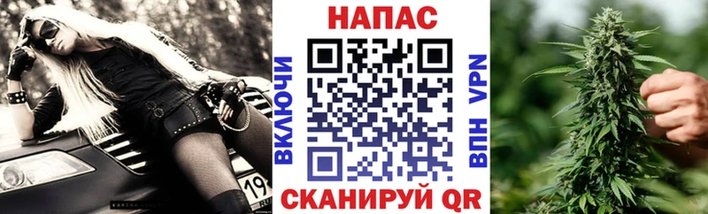 как найти закладки  Заозёрск  Бошки Шишки SATIVA & INDICA 